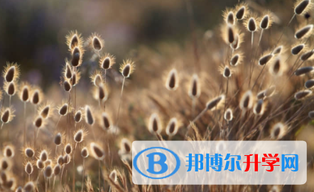 2022年內江中考后幾天出成績