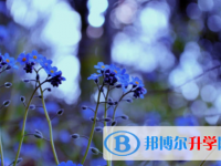 2022年內(nèi)江各個學(xué)校中考錄取線