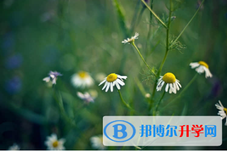 2022年內江近幾年中考重點線