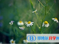 2022年內(nèi)江近幾年中考重點線