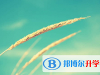 2022年內(nèi)江近年中考重點線