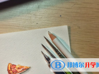 2022年內(nèi)江中考報(bào)名網(wǎng)站