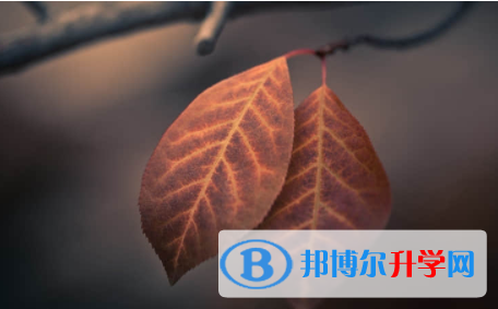 2022年內江中考必考公式