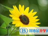 2022年內江中考查詢