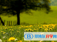 2022年內江中考查詢網
