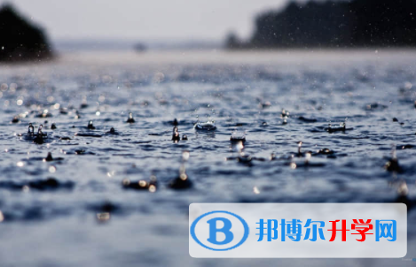 2022年內江中考查詢網址