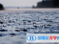 2022年內江中考查詢網址
