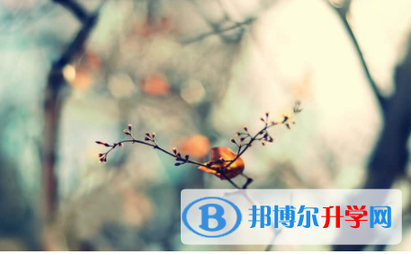 2022年內(nèi)江中考成績(jī)查詢時(shí)間