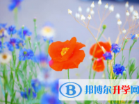 2022年內江中考成績出來了嗎