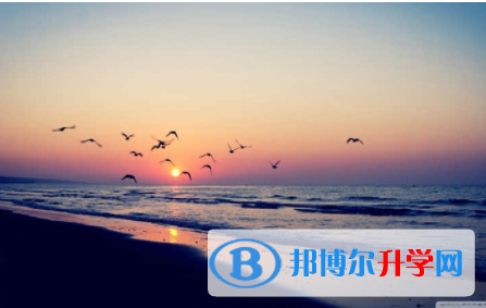2022年內江中考成績什么時候公布