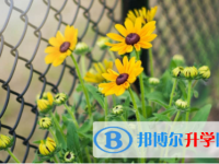 2022年內江中考成績怎樣查詢
