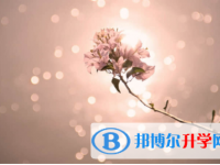 內江2022年中考考點