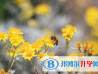 內江2022年中考考生人數