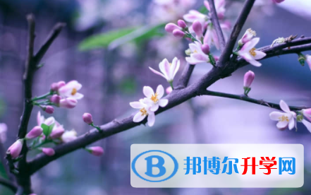 內江2022年中考考試成績