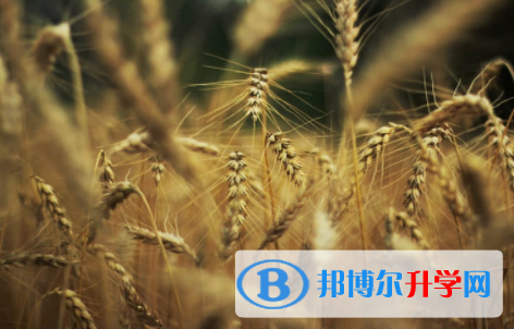 內江2022年中考考試技巧