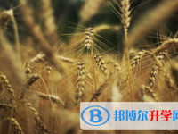 內江2022年中考考試技巧