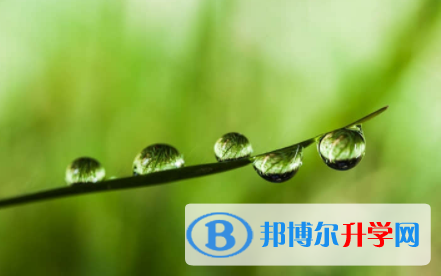 內(nèi)江2022年中考錄取