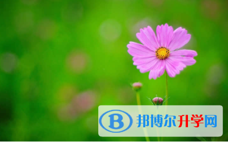內江2022年中考錄取辦法