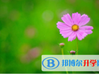 內江2022年中考錄取辦法