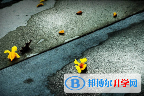 內江2022年中考錄取報名網