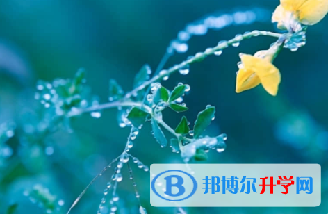 內江2022年中考錄取方式
