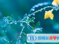 內江2022年中考錄取方式