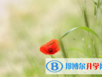 內江2022年中考錄取名單