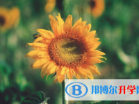 內江2022年中考錄取情況