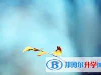 內江2022年中考沒考上可以復讀嗎
