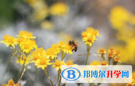 內江2022年中考難度