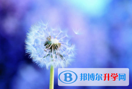 內江2022年中考如何