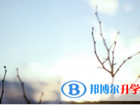內江2022年中考升學錄取比例