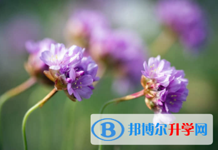 內江2022年中考試卷難嗎