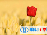 內江2022年中考特長生招生簡章
