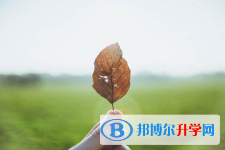 內江2022年中考填志愿的網站