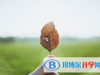 內江2022年中考填志愿的網站