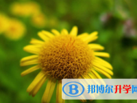 內江2022年中考填志愿統招和調劑
