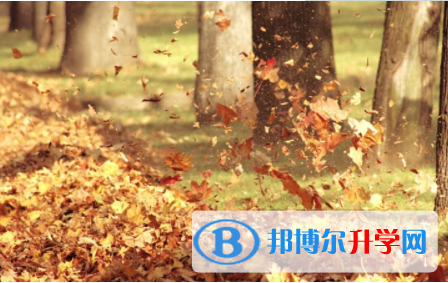 內(nèi)江2022年中考統(tǒng)考成績