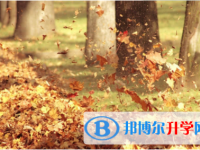 內江2022年中考統考成績