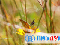 內江2022年中考網報