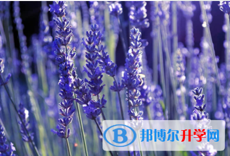 內江2022年中考網登錄