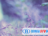 內江2022年中考網錄取系統