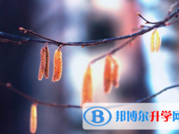 內江2022年中考網絡登錄