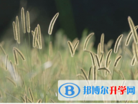 內江2022年中考網絡平臺