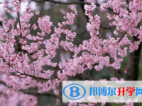 內江2022年中考網絡應用平臺