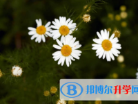 內江2022年中考網上報考信息平臺