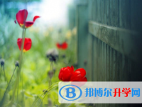 內(nèi)江2022年中考網(wǎng)上報(bào)名