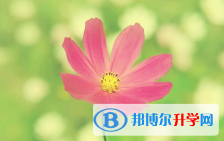 內江2022年中考網上報名系統