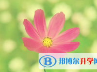 內(nèi)江2022年中考網(wǎng)上報(bào)名系統(tǒng)