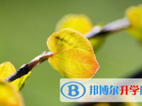 內江2022年中考網上模擬報名